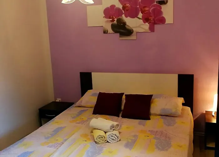 Paradis アパート